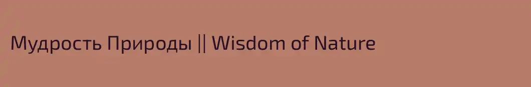 Мудрость Природы || Wisdom of Nature